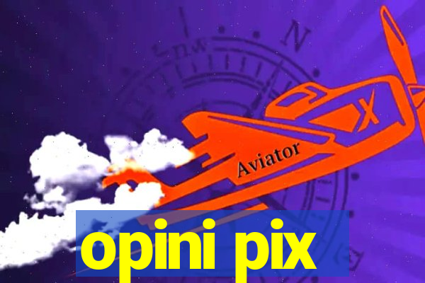 opini pix